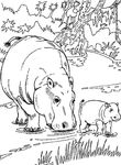 coloriage gratuit Hippopotames