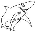 dessin gratuit Requins