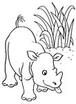 coloriage gratuit Rhinoceros