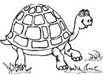 coloriage Tortues