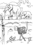 dessin gratuit Zoo